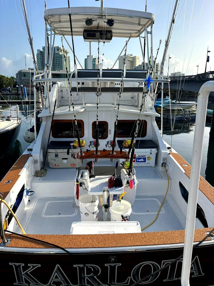 Guests holding sailfish on Bertram 31 Puerto Rico