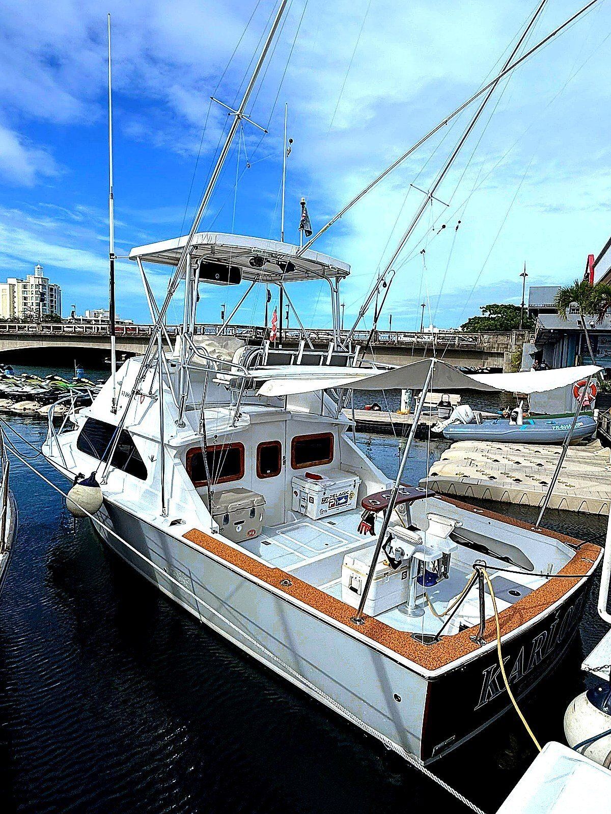 How Much Does a Fishing Charter Cost in Puerto Rico?