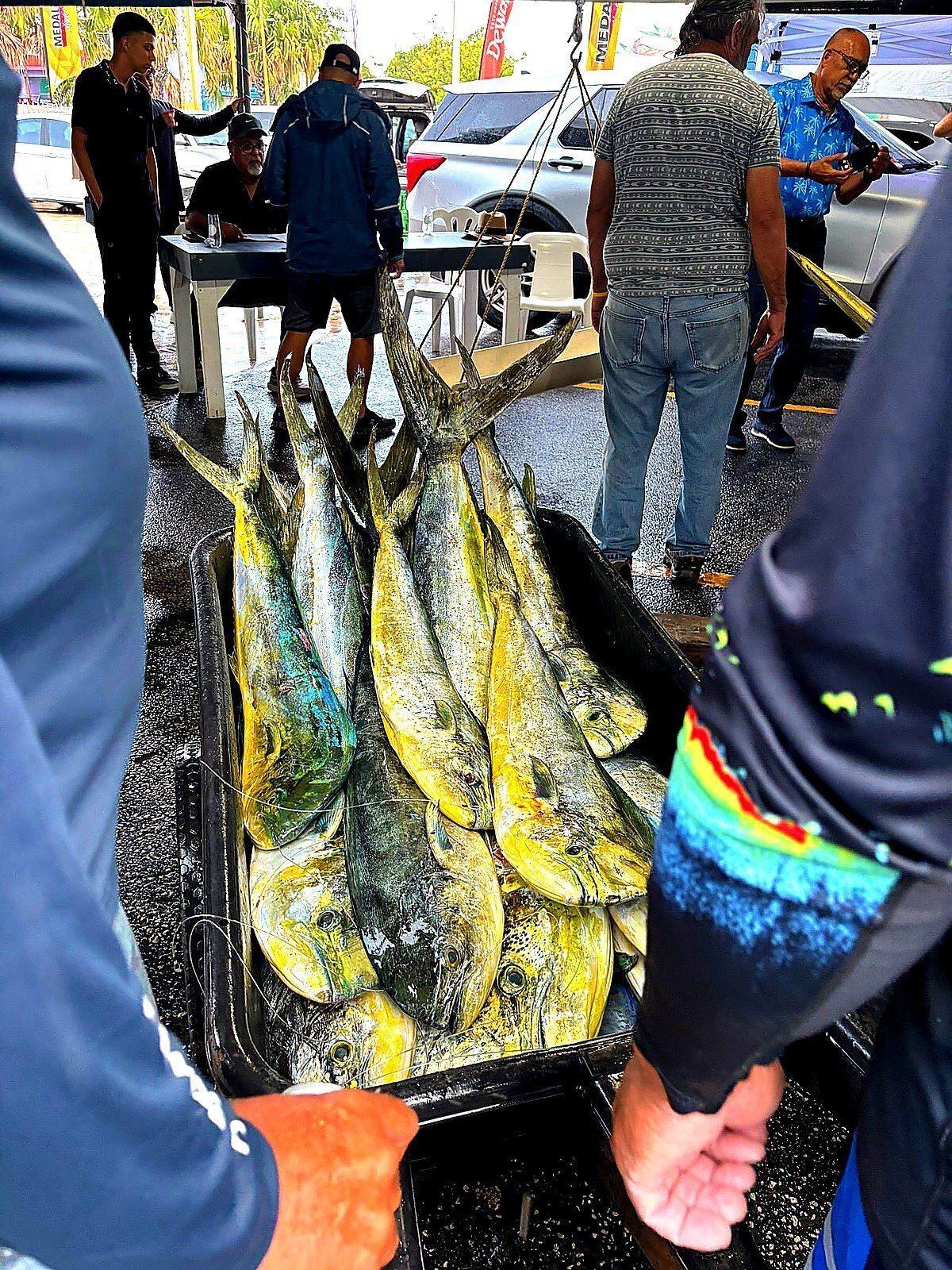 Offshore catch aboard a Boating Puerto Rico sportfishing charter near San Juan