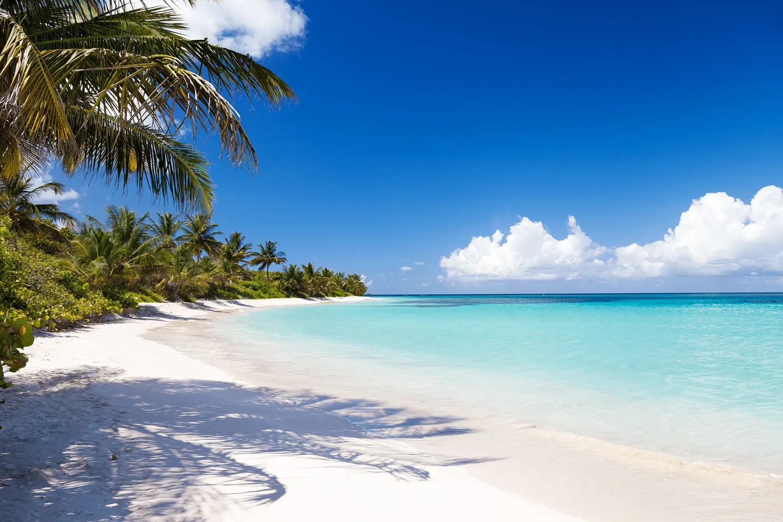 Sunny palm-lined beach in Culebra, Puerto Rico, ideal for a summer vacation boat charter
