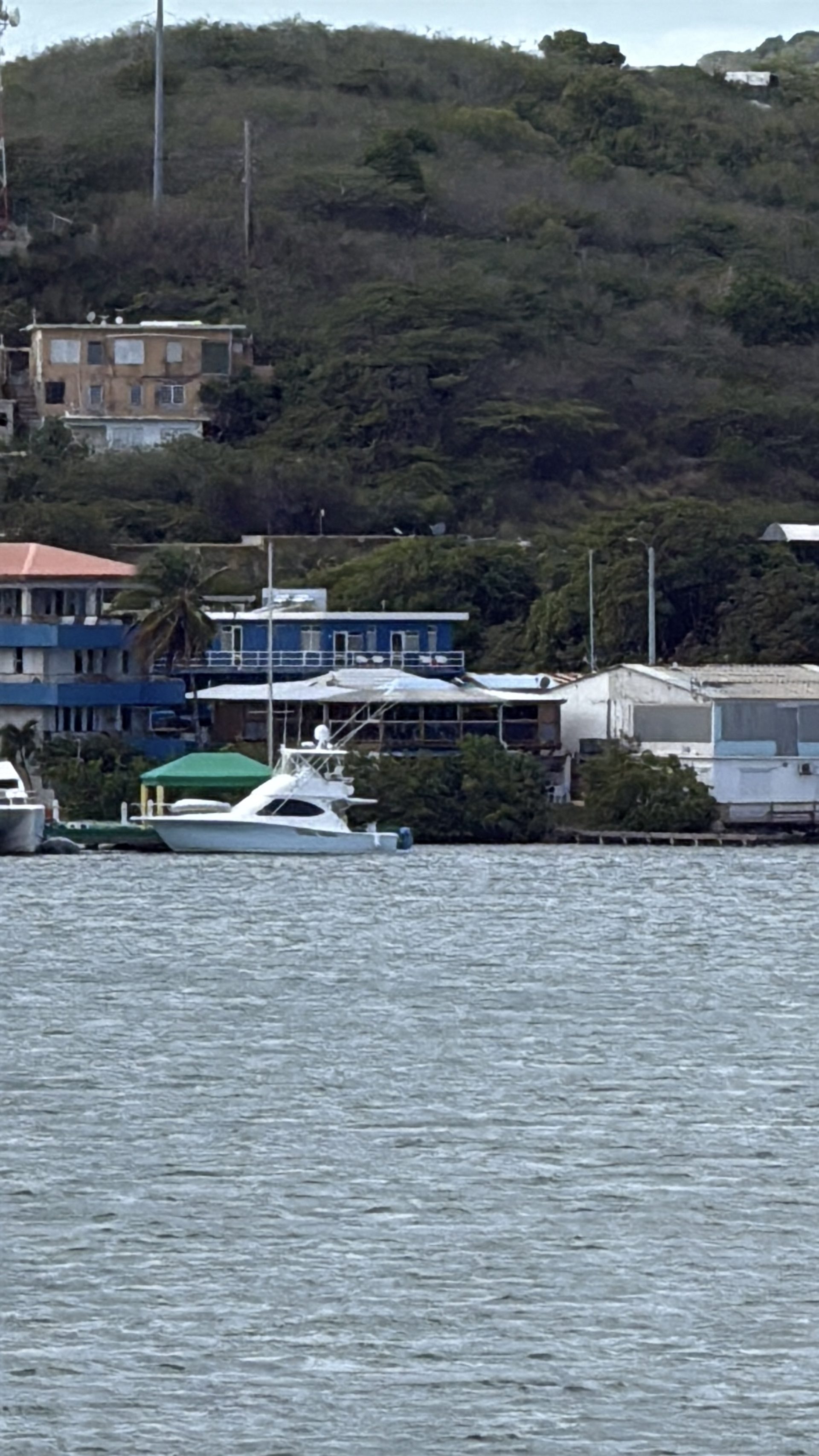 Culebrita from Fajardo