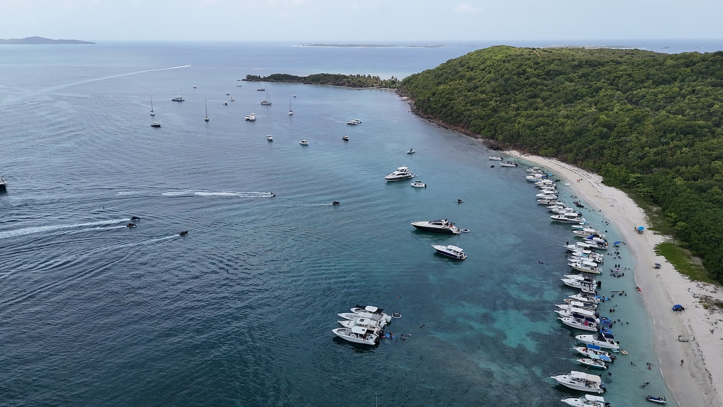Palomino Island aerial — long beach, palm trees, calm water