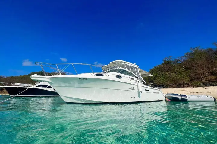 Wellcraft 30ft charter boat run by a licensed captain