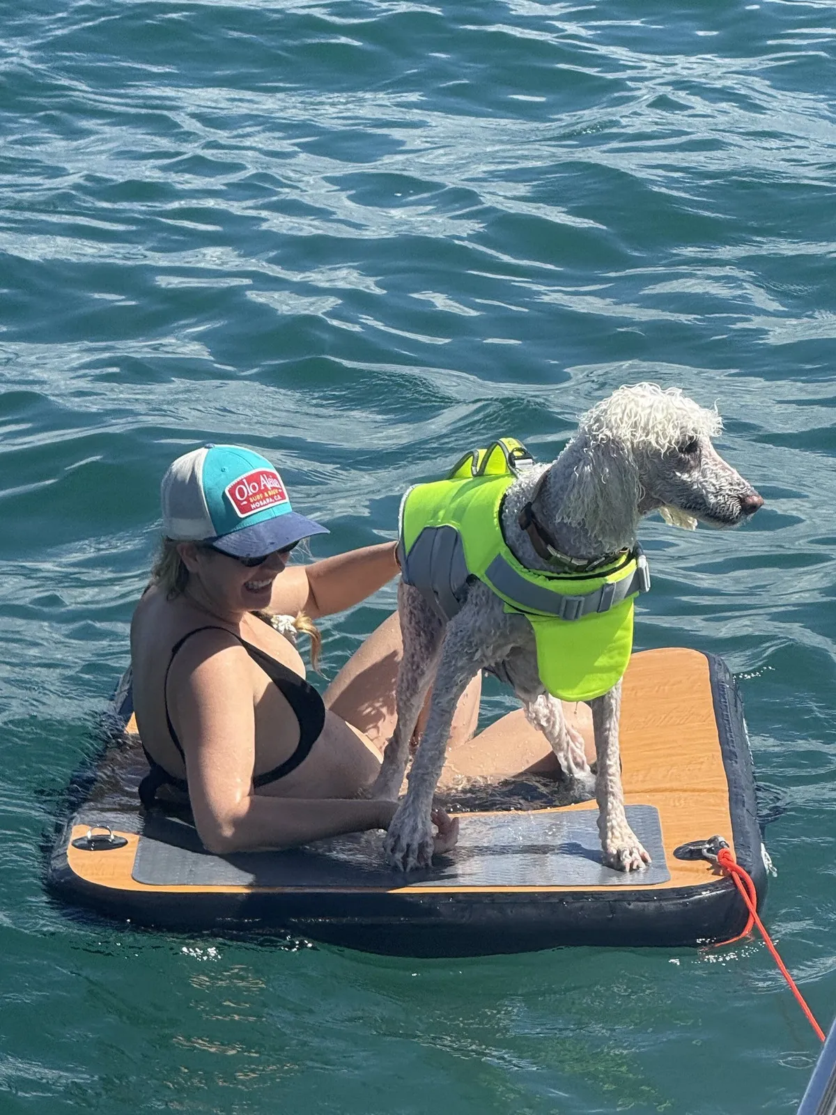 Woman in the water with dog on a pet friendly boat charter Puerto Rico
