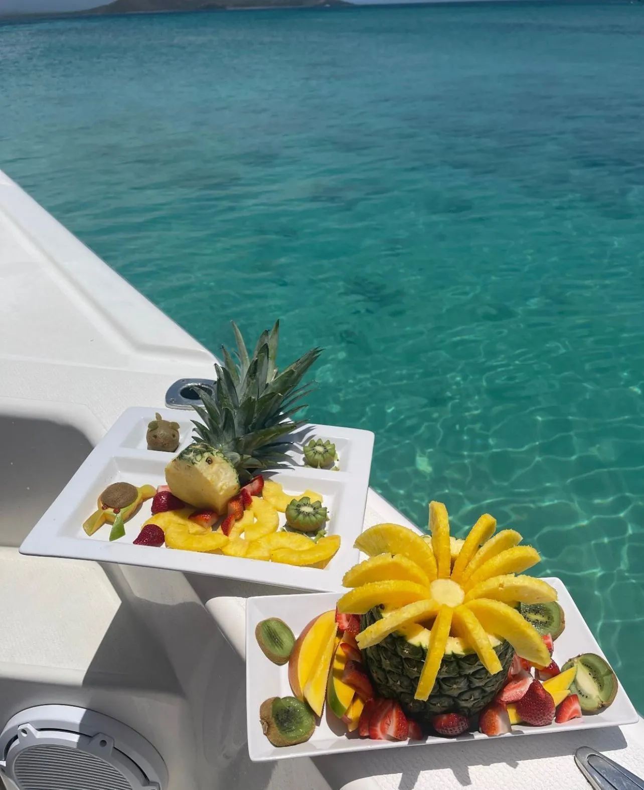 Fresh fruit platter with carved pineapple served on the Wakecraft
